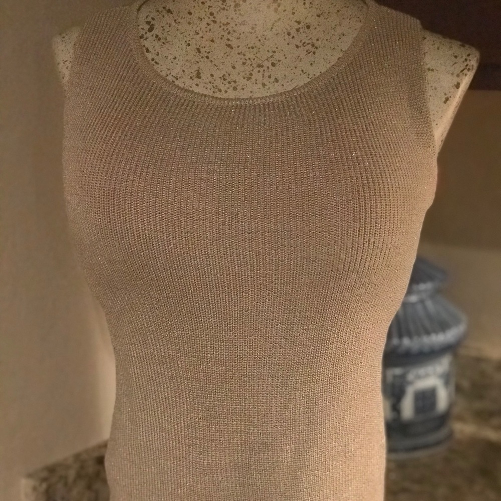 Elegant Shimmer Tank Blouse